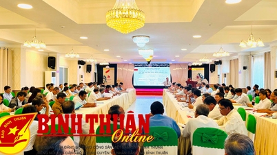 ការអនុវត្តច្បាប់ស្តីពីសហករណ៍ឆ្នាំ២០២៣