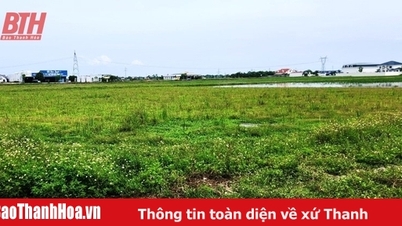 Land will be forcibly recovered from 28 households and individuals who do not comply with the State's land recovery decision.