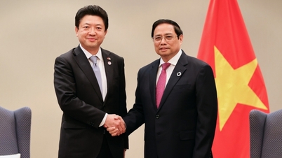 Thủ tướng Phạm Minh Chính tiếp lãnh đạo một số tập đoàn kinh tế lớn của Nhật Bản
