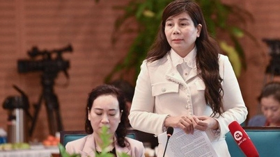 Thu hồi văn bản do Phó Chủ tịch quận ký khi đã nghỉ hưu