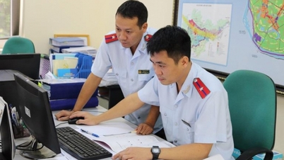 The Government regulates 9 General Inspectorate agencies and Departments under the Ministry.