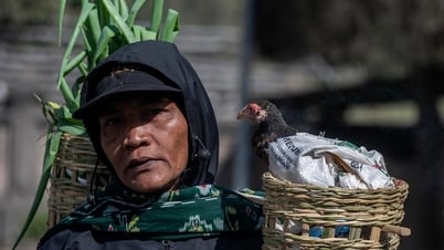 Hàng nghìn người ném gia cầm xuống núi lửa hiến tế