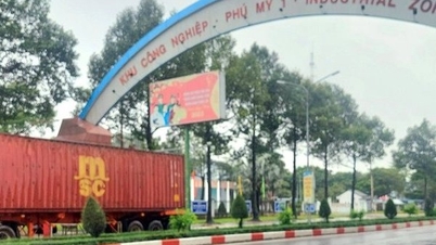 "Urgent" direction on the case of breaking the fence to open the door to Phu My I Industrial Park