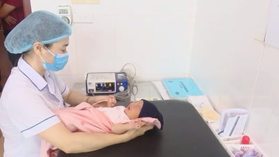 Prenatal and newborn screening helps detect abnormalities and improve population quality.
