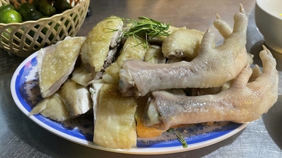 甲状腺がんの手術後は鶏肉を控えるべきでしょうか？