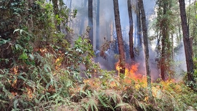 Waldbrandalarm