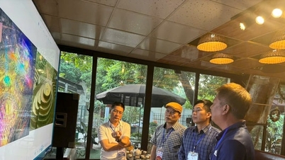 Chấm giải Cuộc thi Ảnh nghệ thuật với chủ đề “Ảnh đẹp Du lịch Yên Bái” năm 2024