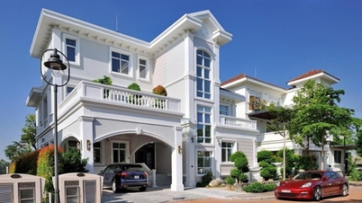 Green House Agency លក់ និងជួល Chateau Villa District 7 ក្នុងតម្លៃសមរម្យ