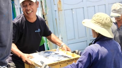 Đưa vào sử dụng hệ thống truy xuất nguồn gốc điện tử