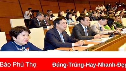 Đoàn ĐBQH tỉnh tham dự Kỳ họp thứ Năm, Quốc hội khoá XV
