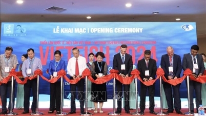 Triển lãm thủy sản quốc tế - Vietfish 2024