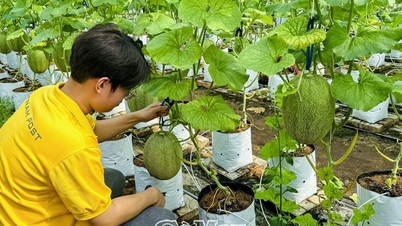 Cà Mau: Giúp nông dân tiếp cận sàn thương mại điện tử