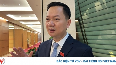 "ប្រសិនបើចាំបាច់ យើងអាចហាមឃាត់ទាំងស្រុងនូវការជួញដូរដុំមាស"។