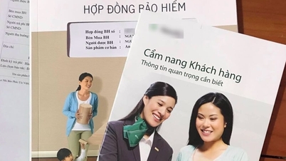 Công bố kết luận thanh tra 4 doanh nghiệp bảo hiểm nhân thọ trong tháng 6