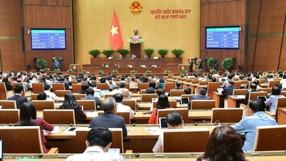 Luật Căn cước: Bỏ quê quán, vân tay, thêm thu thập mống mắt