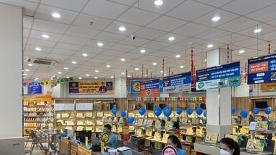 Impersonating Dien May Xanh to defraud and appropriate customers' property