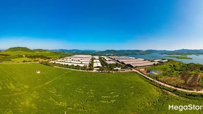 「グリーンファクトリー」TH true MILKを発見：緑の牧草地からきれいなミルクまで
