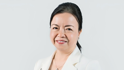 លោកស្រី Nguyen Thi Mai Thanh លា​លែង​ពី​ប្រធាន​ដើម្បី​ទទួល​ភារកិច្ច​ថ្មី។