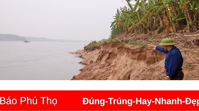 Đầu tư 15 tỉ đồng xử lý khẩn cấp sạt lở bờ vở sông tại xã Dân Quyền, huyện Tam Nông