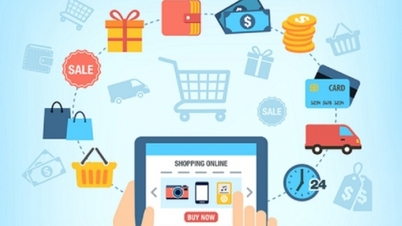 Thị trường thương mại điện tử B2C Việt Nam tăng khoảng 20%