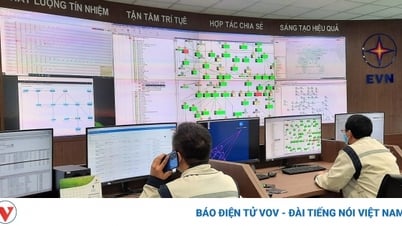 国家電力システム・市場運営会社の設立
