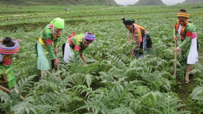 Hà Giang: Nhiều giải pháp giảm nghèo bền vững