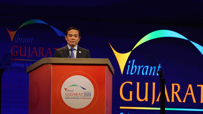 កិច្ចប្រជុំកំពូល Gujarat Global ដ៏រស់រវើកបានបើកសម្ពោធ