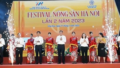 Đặc sắc Festival nông sản Hà Nội lần 2 năm 2023 tại huyện Sóc Sơn