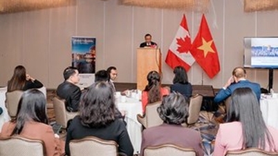 Những điểm mạnh của Việt Nam trong quan hệ thương mại và đầu tư với Canada