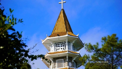 The monastery is as beautiful as a miniature Da Lat in the middle of Hue.