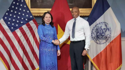 Bilateral meetings of Vice President Vo Thi Anh Xuan in New York (USA)