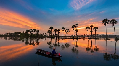 វត្ត និងដើមត្នោត