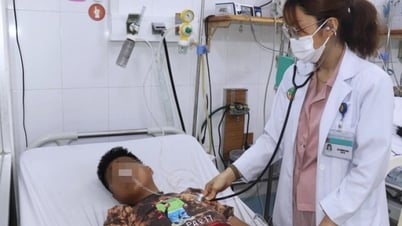 Nhiều giải pháp phòng, chống ngộ độc do Botulinum
