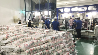 Gạo Việt trước thời cơ mới