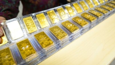 A company borrowed nearly 5,900 taels of SJC gold, but after more than ten years still cannot pay it back.