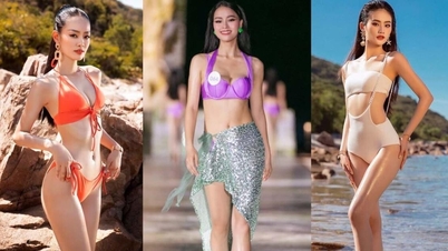 តើ​សម្រស់​មួយ​ណា​ដែល​មាន​ឱកាស​គ្រង​មកុដ​បវរកញ្ញា​ពិភពលោក​វៀតណាម​ឆ្នាំ​២០២៣?