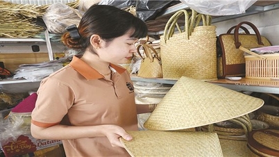 Reviving the sedge weaving craft in Ba Chuc
