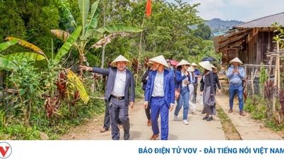 ឧស្សាហកម្មសណ្ឋាគារ Da Nang ជួយកសិករ Co Tu ប្រើប្រាស់ផលិតផលកសិកម្ម