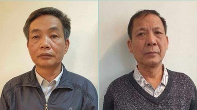 Bắt tạm giam 2 thành viên Tổng công ty Chè Việt Nam