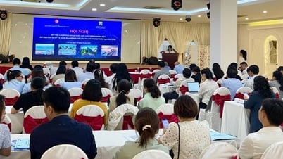 Gia Lai៖ ការពង្រឹងហេដ្ឋារចនាសម្ព័ន្ធសេវាកម្មភ័ស្តុភារ ដើម្បីគាំទ្រដល់ពាណិជ្ជកម្មអេឡិចត្រូនិក