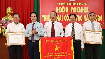 Hội Luật gia tỉnh vinh dự nhận Cờ thi đua của HLG Việt Nam