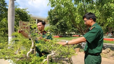 Bộ CHQS tỉnh Bình Định: Khoảng xanh giữa miền cát trắng
