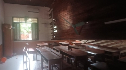 Trần gỗ bất ngờ đổ sập, nhiều học sinh trường PT Hermann Gmeiner bị thương