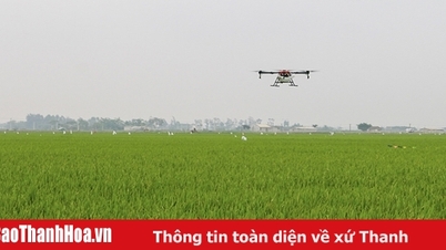 Thiệu Hóa mở rộng diện tích cây trồng được cấp mã số vùng trồng