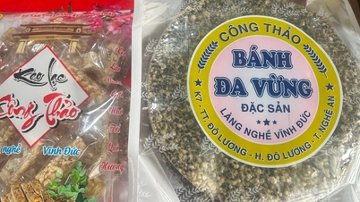 ភូមិសិប្បកម្មក្រដាសអង្ករ Vinh Duc ហោះហើរពី OCOP