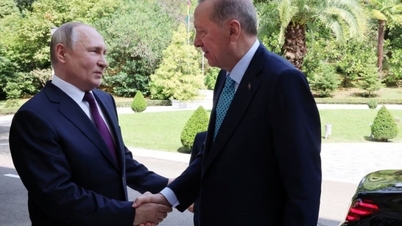 プーチン大統領、エルドアン大統領との会談でウクライナ穀物取引を延長する用意