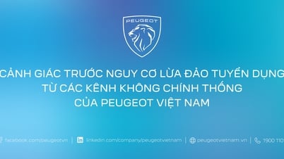 Warning about impersonating Peugeot Vietnam to commit recruitment fraud