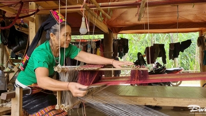 Dự án 6: Du lịch cộng đồng