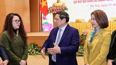 Không để doanh nghiệp đến xin, đến kêu thì mới làm!