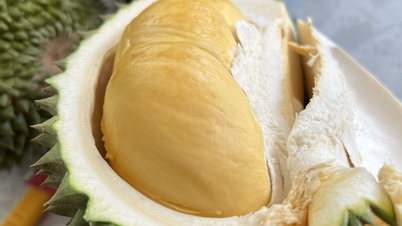 giá gần một triệu đồng mỗi kg
